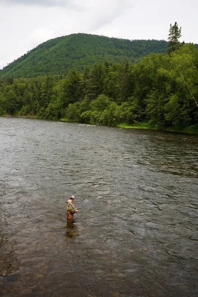 Pescador captura de truta no rio — Fotografia de Stock
