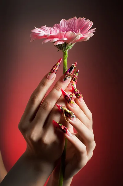 stock image Manicure of beautiful hands with a flower