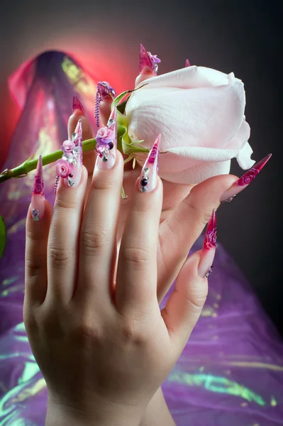 Belle manucure des mains avec une rose — Photo