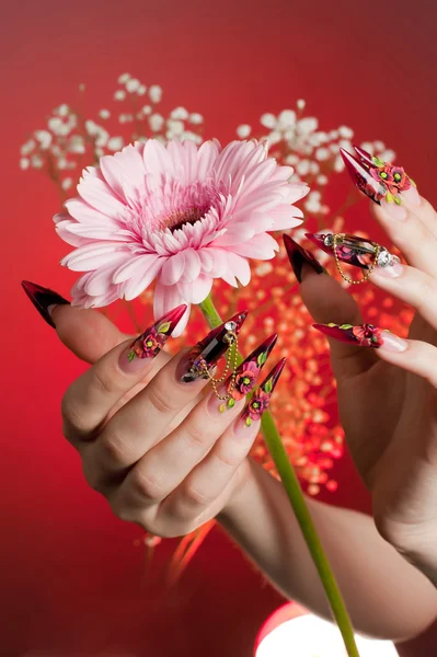 꽃과 함께 아름 다운 손의 매니큐어 스톡 사진