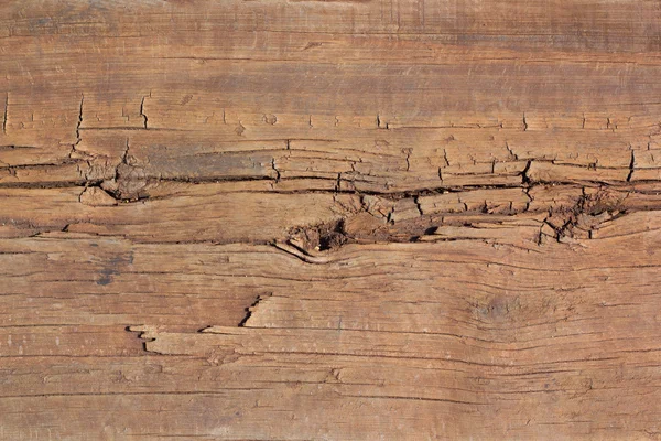 Старе дерево дерев'яна — стокове фото