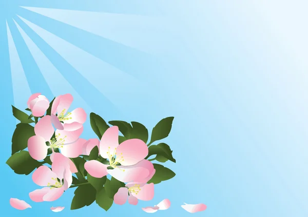 Cartão vetorial azul com flores de macieira — Vetor de Stock