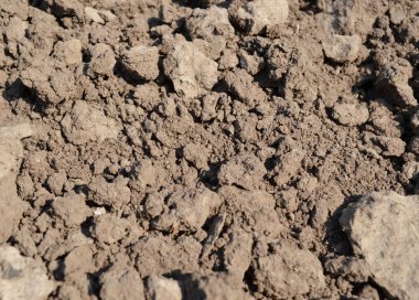 Clay soil - close-up clipart