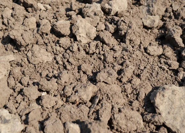 stock image Clay soil - close-up