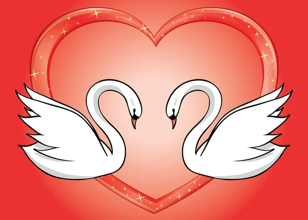 Cisnes blancos y corazón rojo - tarjeta vectorial — Archivo Imágenes Vectoriales