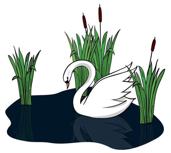 Белый лебедь на темном озере - вектор — стоковый вектор
