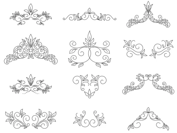 Conjunto de vectores - elementos de diseño floral — Archivo Imágenes Vectoriales