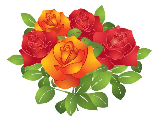 矢量红色和橙色的美丽鲜花-玫瑰 — 图库矢量图片