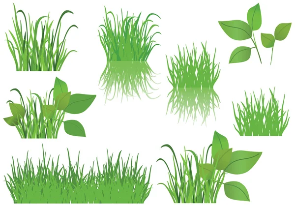 Set of vector green grass — Stock Vector