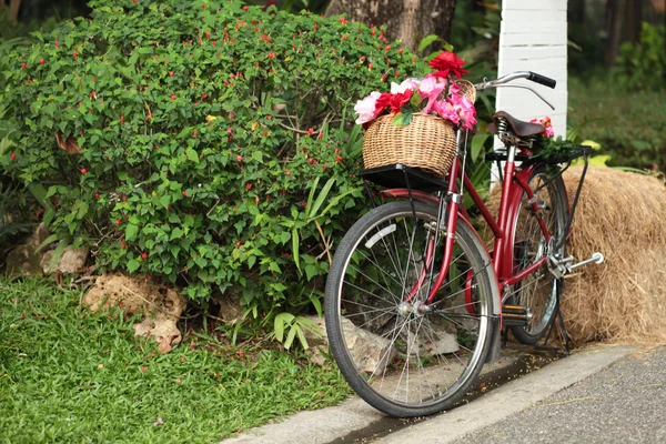 Red bicycle — Stock Photo, Image