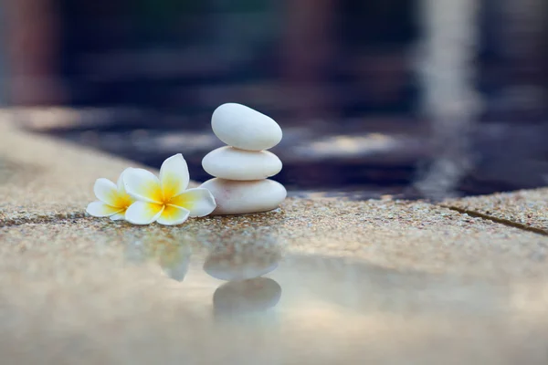 Plumeria flor e pedras — Fotografia de Stock