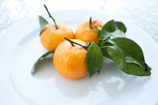 stock image Fresh orange mandarines