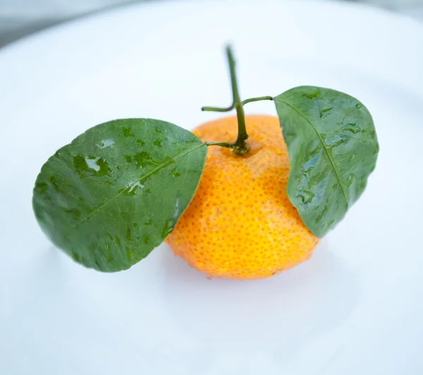 Čerstvý pomerančový mandarinky — Stock fotografie