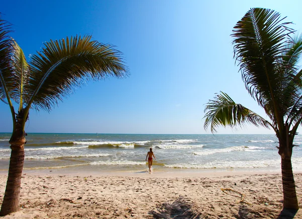 Palmiye ağaçları ve plaj — Stok fotoğraf