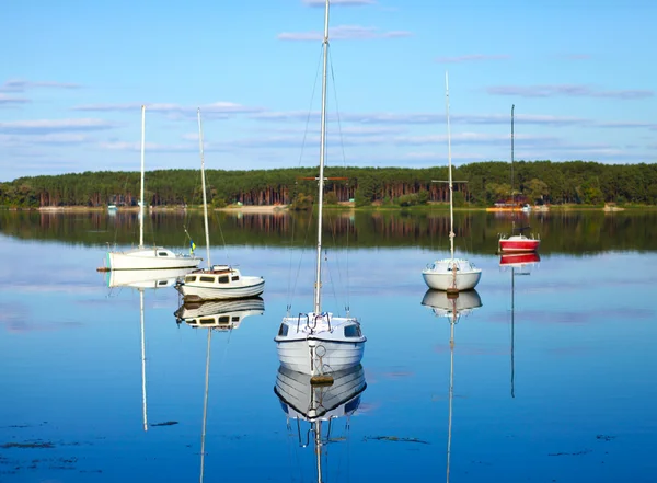 stock image Five yachts