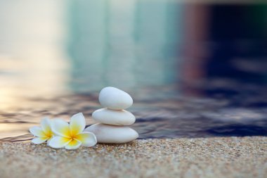 Plumeria çiçek ve taşlar
