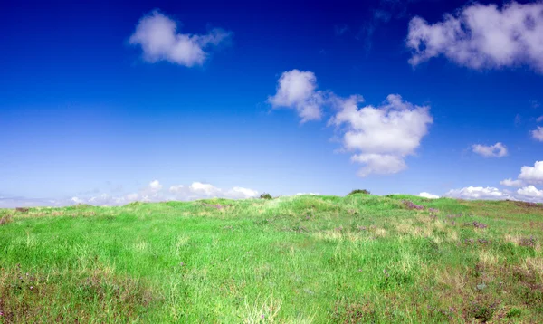 Yeşil tepe — Stok fotoğraf
