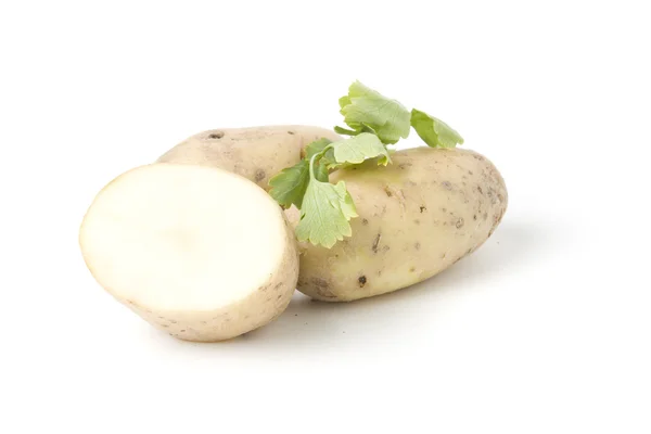 Aardappelknollen met kruiden — Stockfoto