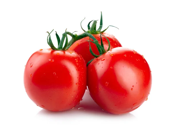 在白色上隔离的番茄 — 图库照片