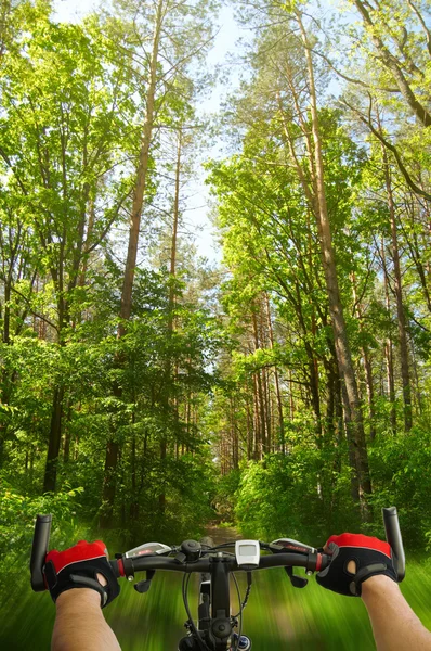 Uomo con bicicletta equitazione strada forestale — Foto Stock