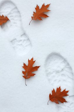 Snowy footsteps with autumn leaves clipart