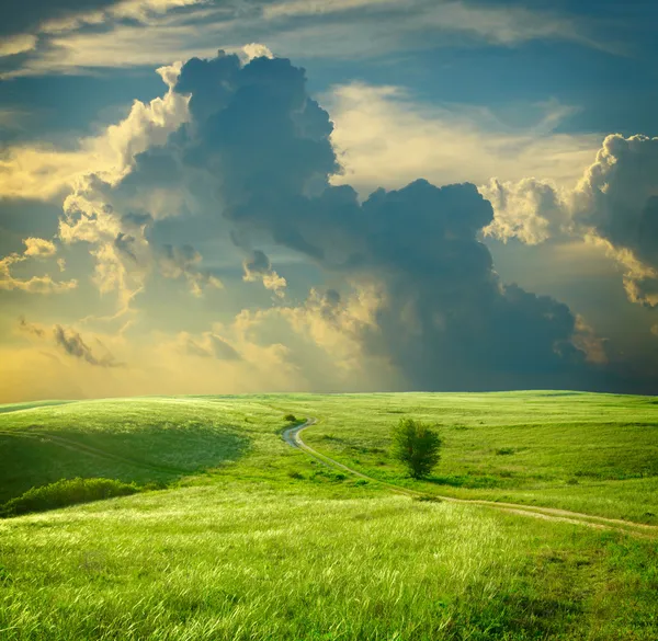 Καλοκαιρινό τοπίο με πράσινο γρασίδι, δρόμο και σύννεφα — Φωτογραφία Αρχείου