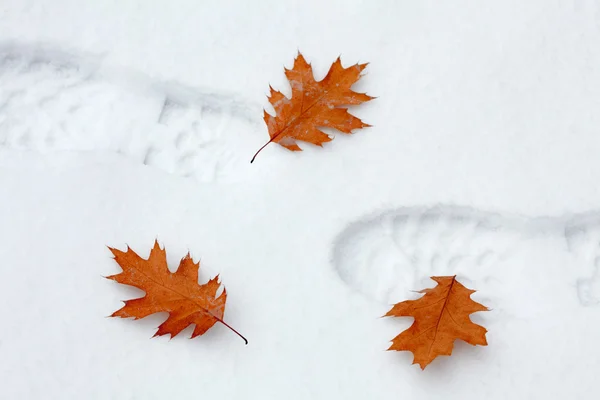 Snöiga fotspår med höstlöv — Stockfoto