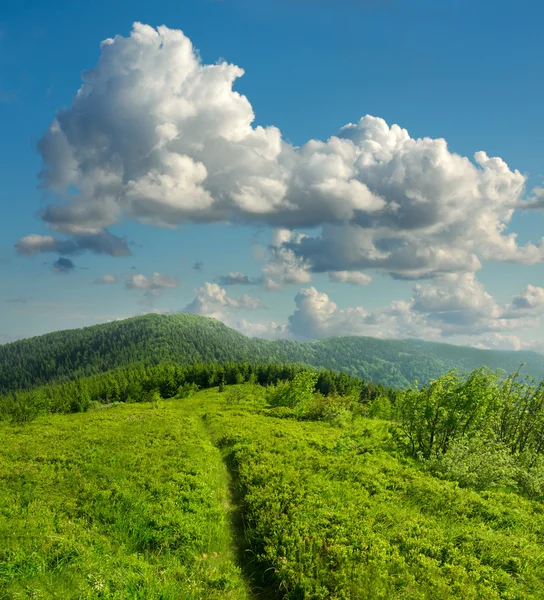 Paisagem de verão com grama verde, montanhas e nuvens — Fotografia de Stock