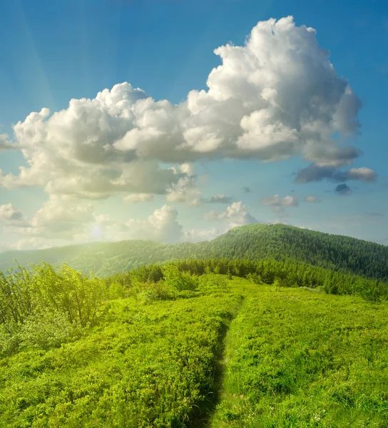 Літній пейзаж із зеленою травою, горами та хмарами — стокове фото