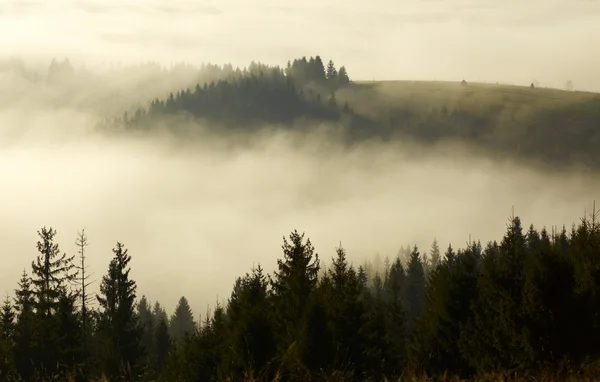 Bella nebbia alba in montagna — Foto Stock