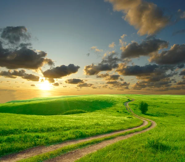 Καλοκαιρινό τοπίο με πράσινο γρασίδι, δρόμο και σύννεφα — Φωτογραφία Αρχείου