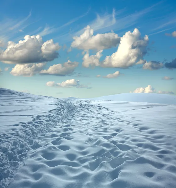 Stock image Winter landscape. Snow and blue sky