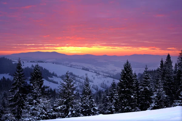 Bella alba nelle montagne invernali — Foto Stock