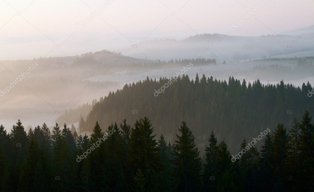 Beautiful foggy sunrise in the mountains