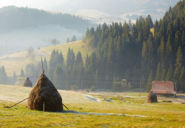 ev ve inci Kekiği yılında haystacks manzara