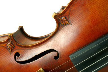Part of violin on white background clipart