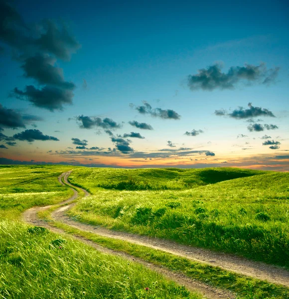Літній пейзаж з зеленою травою, дорогою і драматичним небом — стокове фото