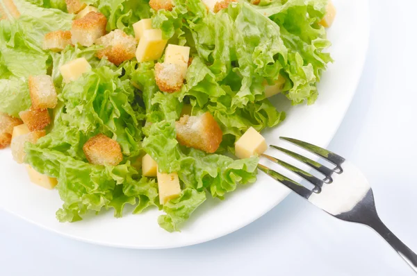 Detailní záběr salátu na bílém podnose — Stock fotografie