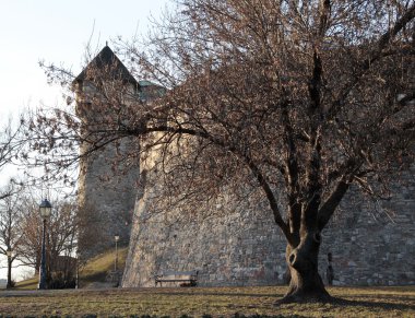 Buda castle_f