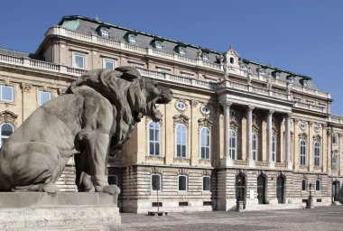 Buda castle_d