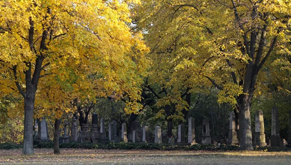 Cementerio —  Fotos de Stock