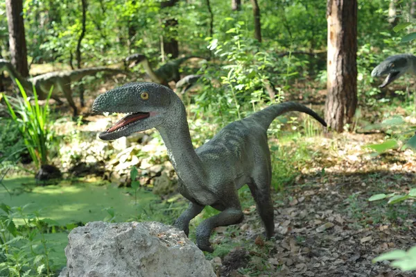 stock image Velociraptors