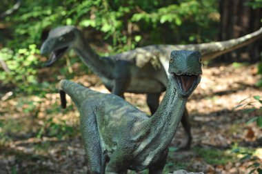 Velociraptors clipart