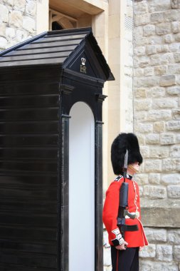 Guard Londra Kulesi
