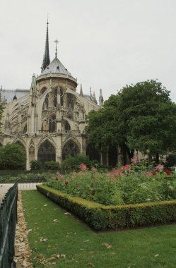 Fransa. Paris. Notre dame de paris