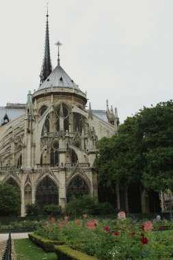 Fransa. Paris. Notre dame de paris