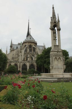 Fransa. Paris. Notre dame de paris