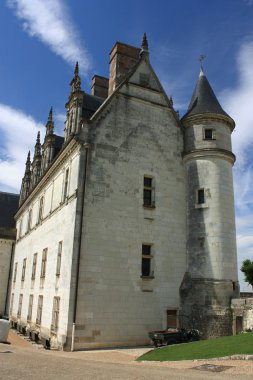 Chateau de amboise. Loire. Fransa