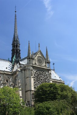 Fransa. Paris. Notre dame de paris