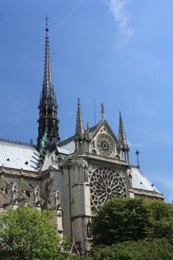 Fransa. Paris. Notre dame de paris